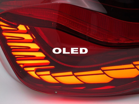 OLED roșu LED lumini spate pentru BMW F10 10-16