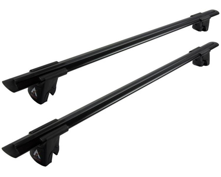 Aguri Runner raft de balustradă Dacia Lodgy 2012-