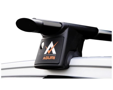 Aguri Runner raft de balustradă Jaguar XF 2013-