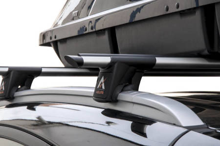 Aguri Runner raft de balustradă Jaguar XF 2013-